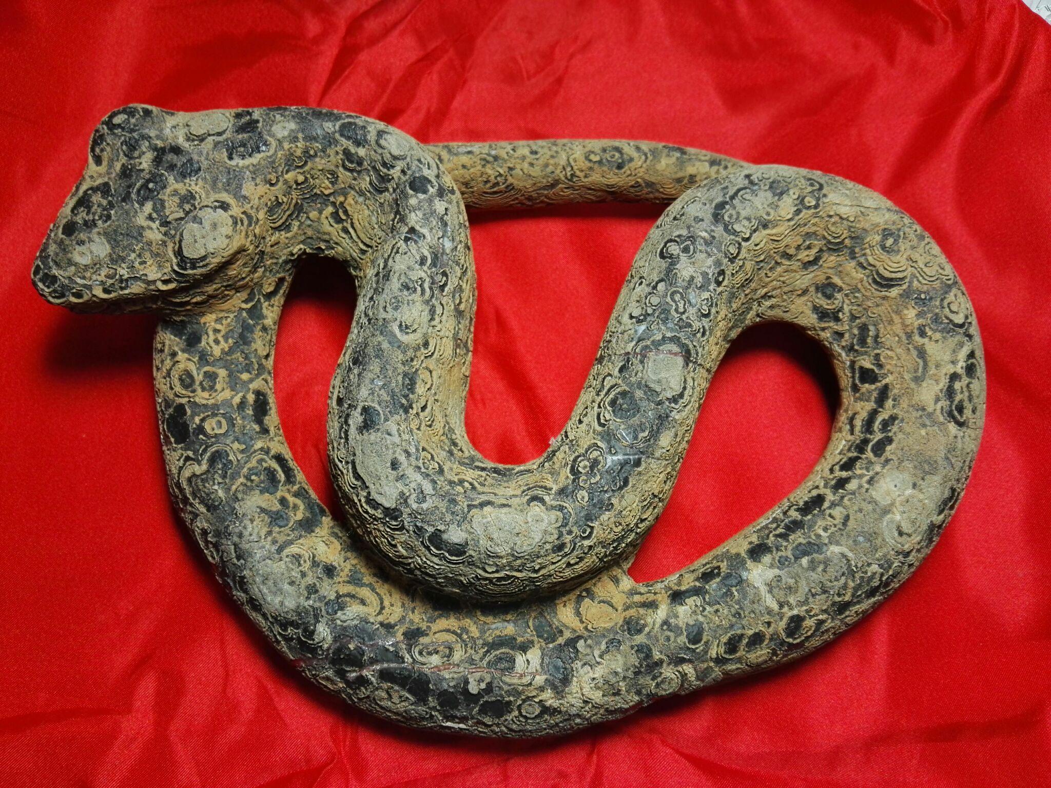 请问这是什么化石?广西收到的。值钱吗? - 章俊