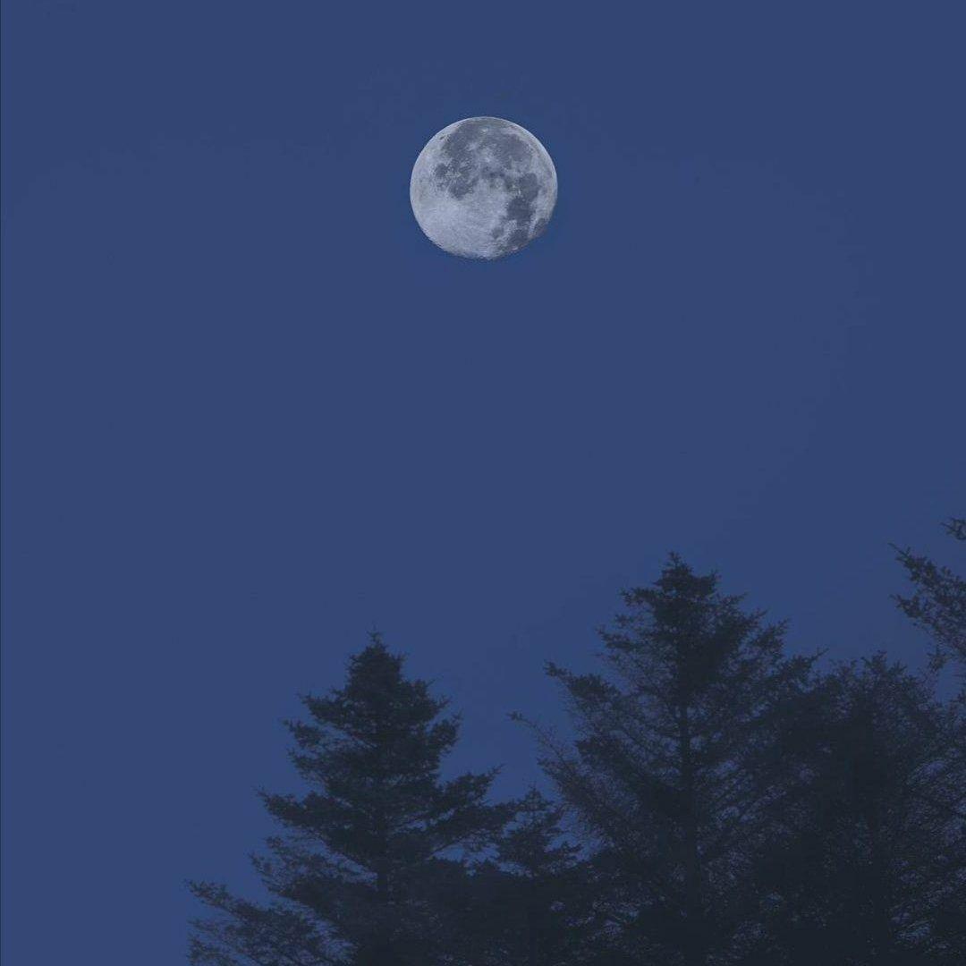 有哪些好看到爆的蓝色系头像