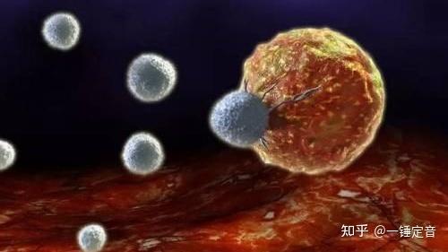 为什么会有免疫反应 v2-b7562d3a22897e7f09771e56c13e96cc_r.jpg