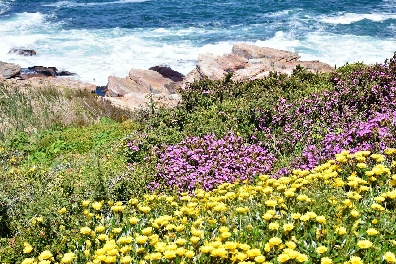 春合苑税费明细