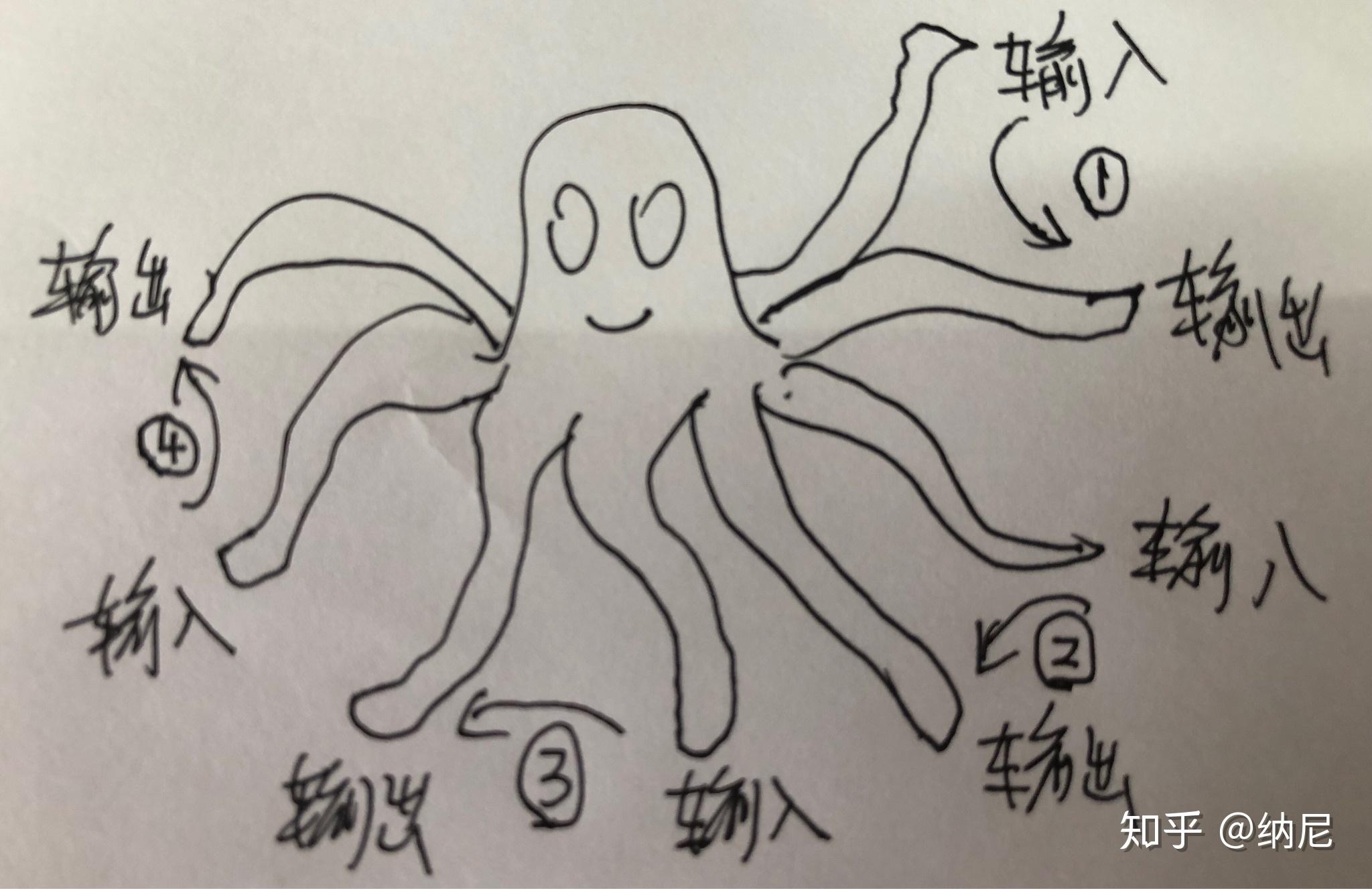 章鱼图 - 知乎
