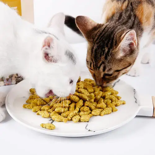 玫斯科普丨经常给猫咪喂零食真的好吗