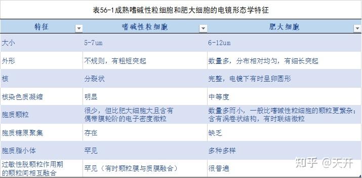 肥大細胞與嗜鹼性粒細胞有何區別