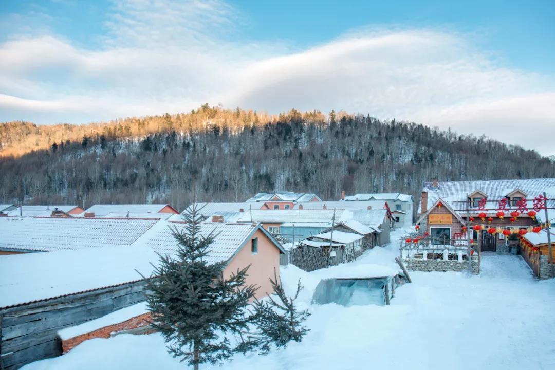 黑龙江恢复跨省游雪乡开园这个冬天跟我们一起去东北跨年