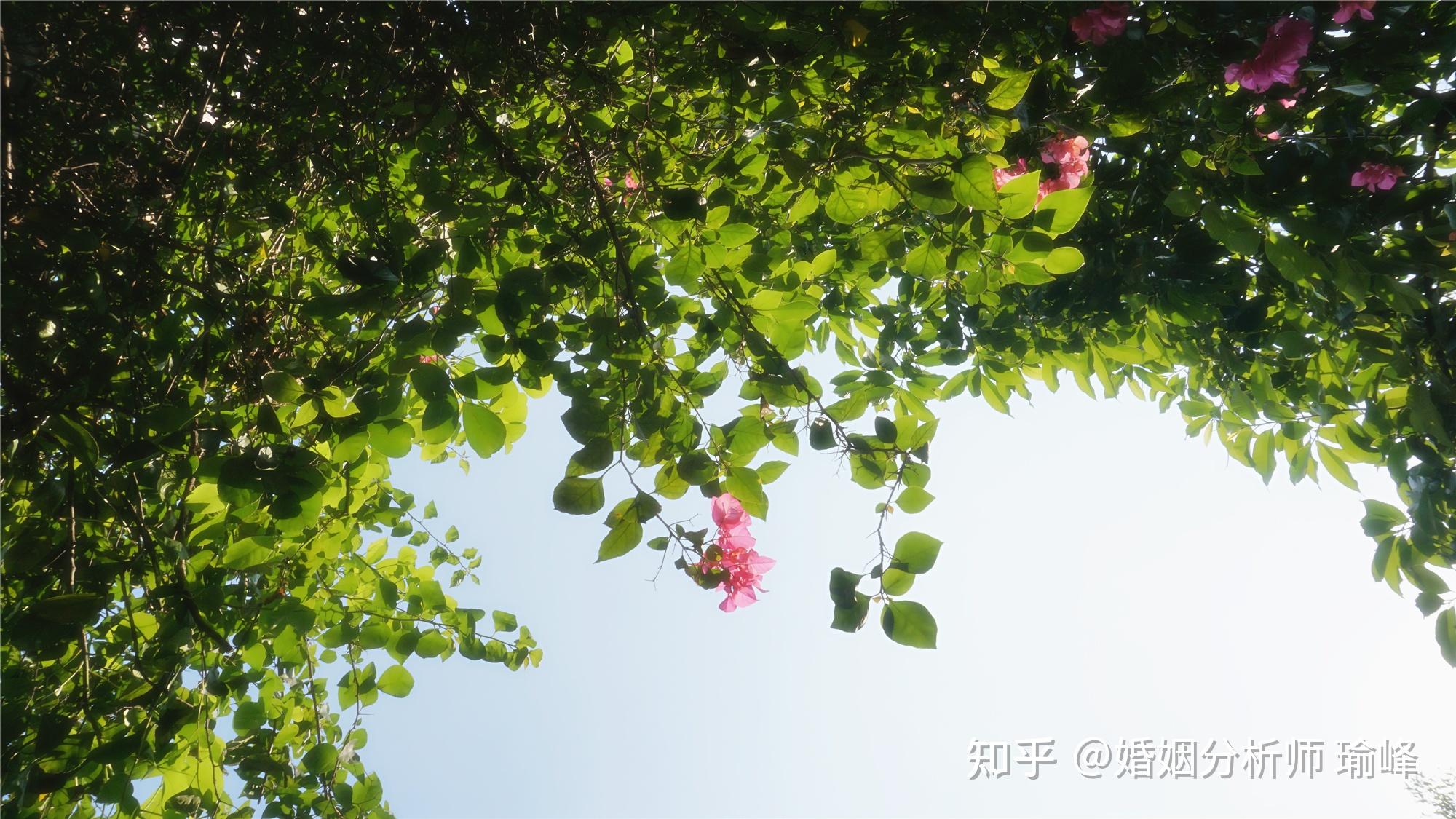 异地分居的夫妻如何解决生理需求