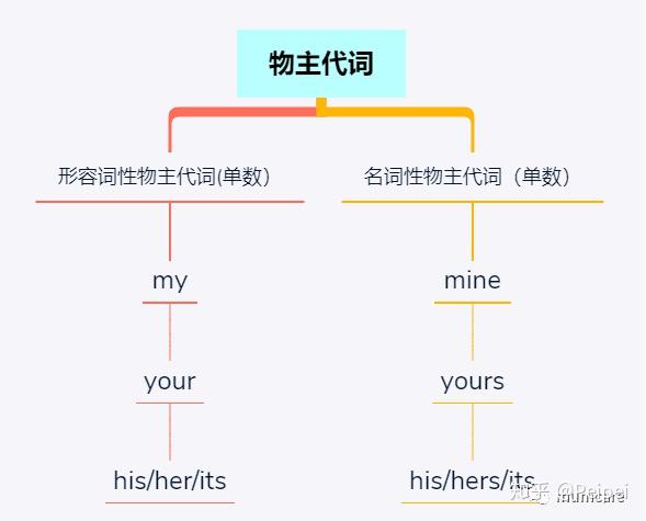 小朋友易懂的物主代词解析 - 知乎