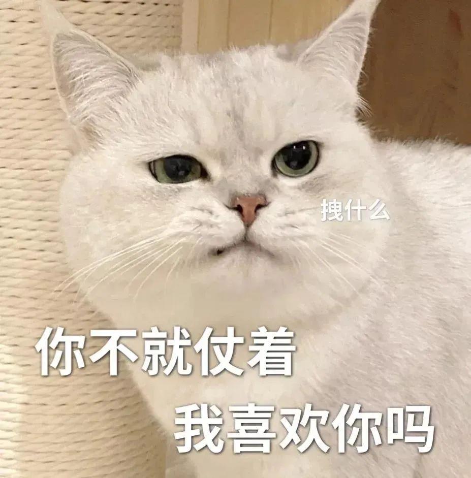 120张万能的表情包推荐-万能表情图片大全