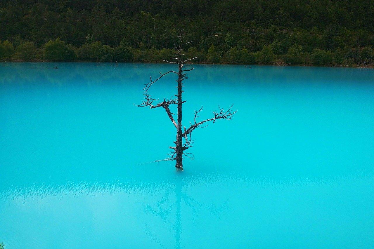 5. 腾冲别墅售价