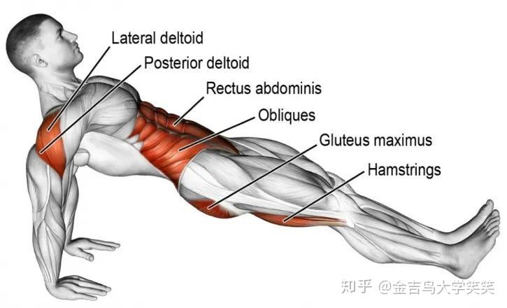如何练习下腹肌 v2-b7a279673309a73ac2b1345e638cc9cc_r.jpg