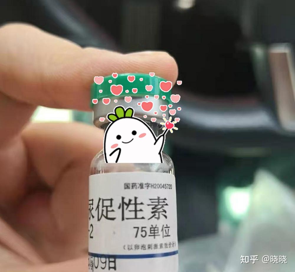 打促排卵针没反应怎么做试管(打促排卵针没反应怎么做试管移植)-第2张图片-鲸幼网