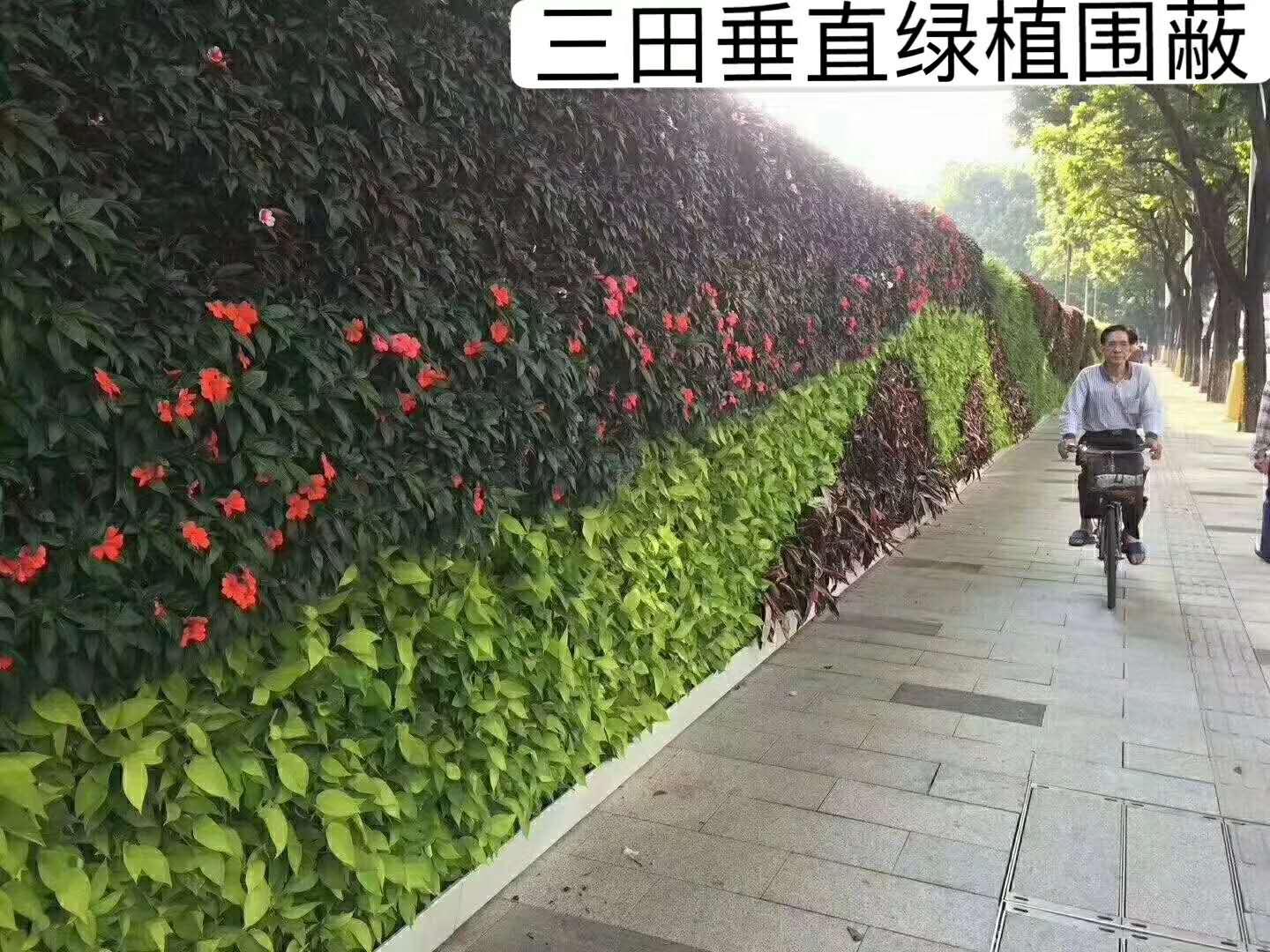 v2-b7a852dc8d69ce7a924049c1310c2dab_1440w.jpg?source=172ae18b