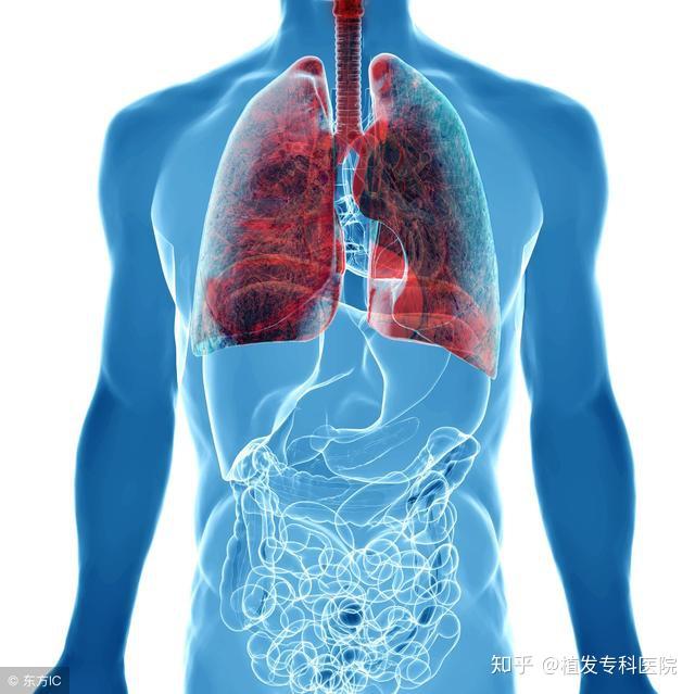 肺癌為什麼會背部疼痛呢醫生說這些疾病也會後背疼別大意了