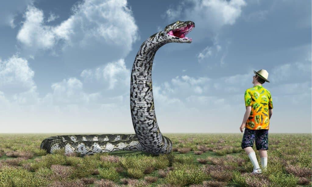 目前最大的蛇有多大图片
