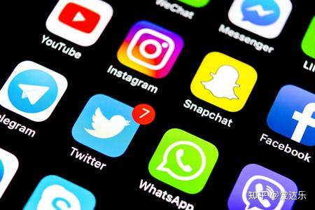 ins等社交媒体结合电子商务功能形成的新群体,以facebook 为例,2021年