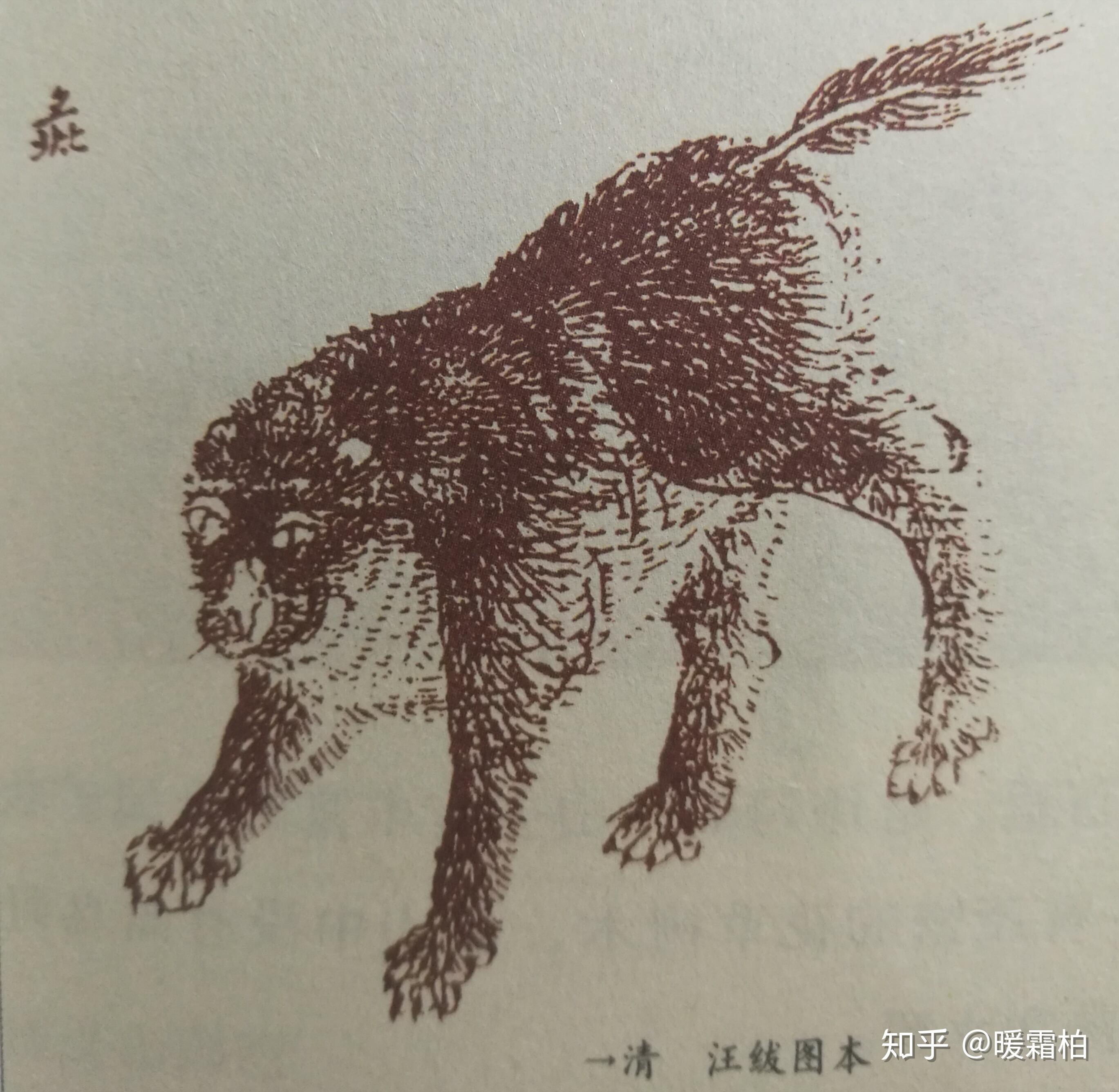 山海经物种摘录-南山经-南次二经 - 知乎
