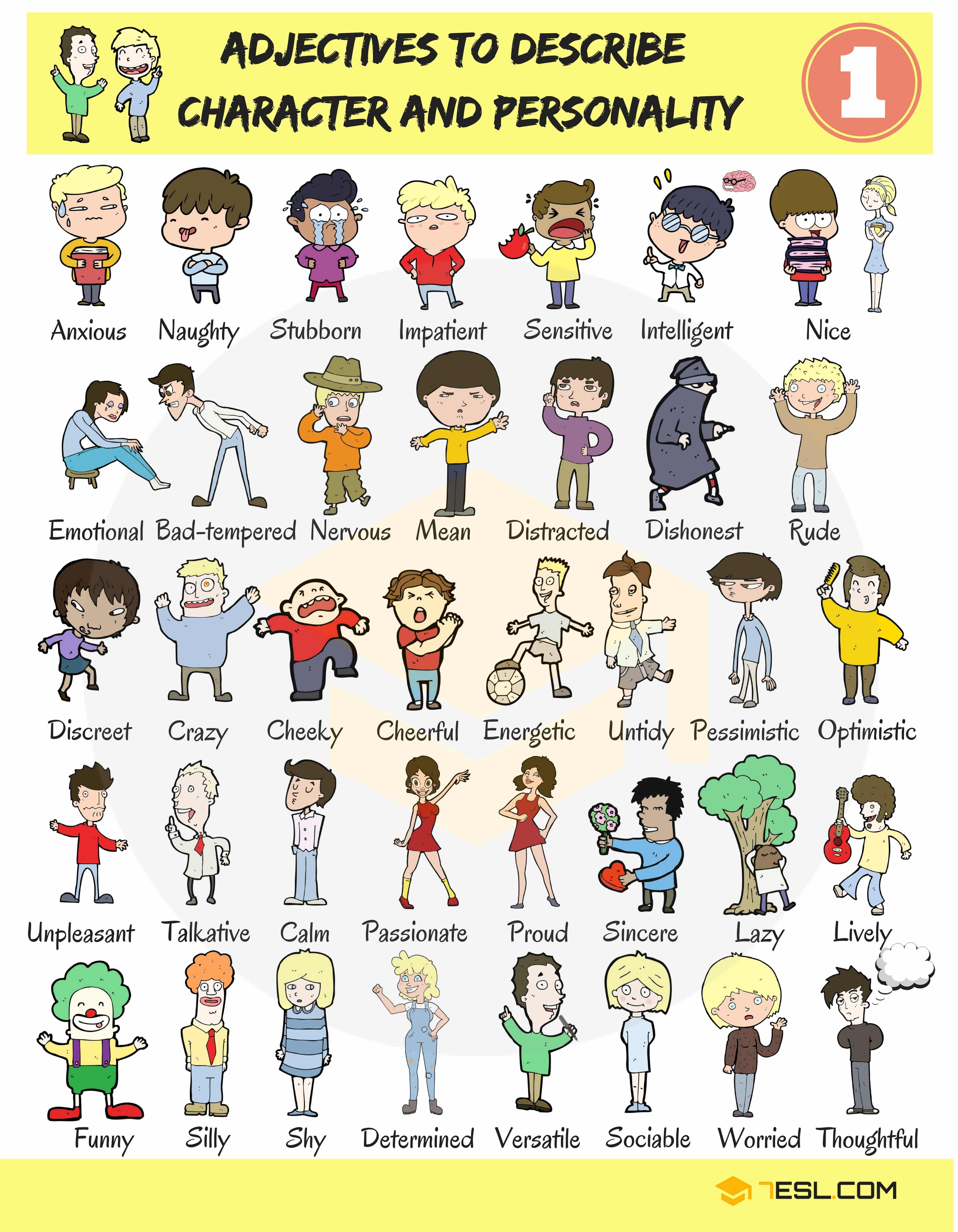 timidsupportiveimpartialfair-mindeddynamicneatgentlecarefulgood