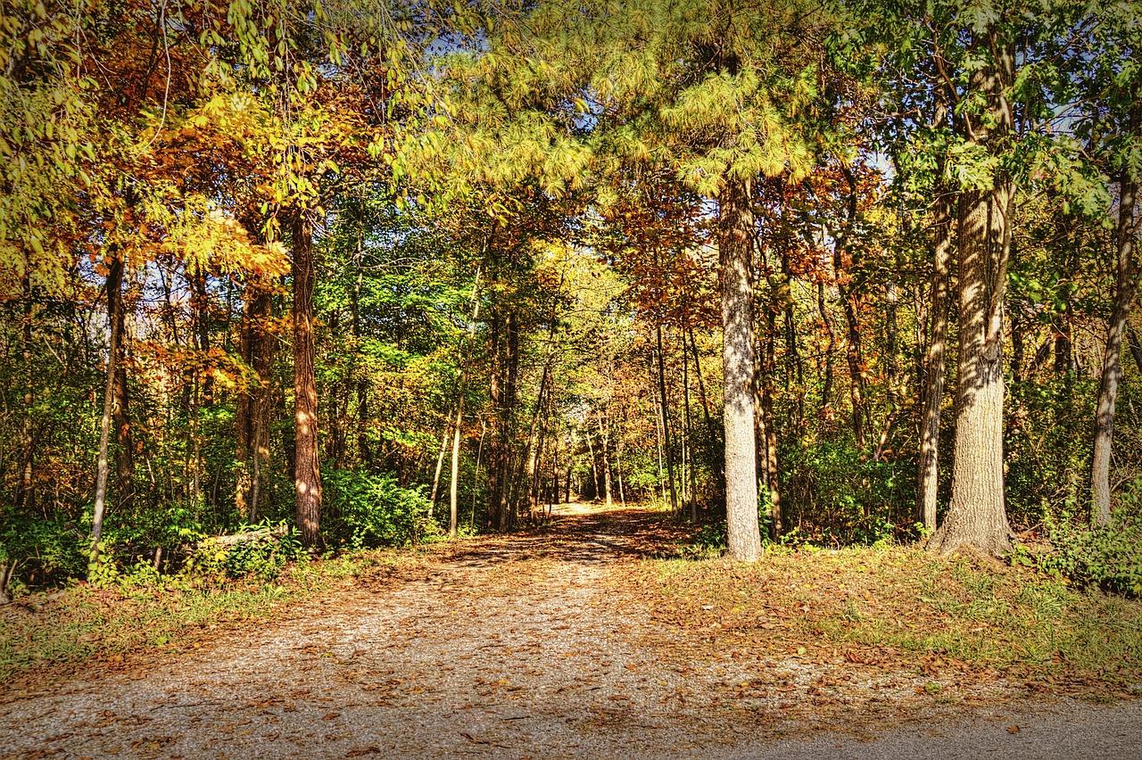 3. 西湖美景如画