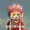 考研超市