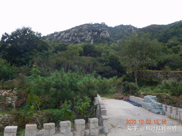 春暖花开为你而来 济南香山春天也很美 知乎