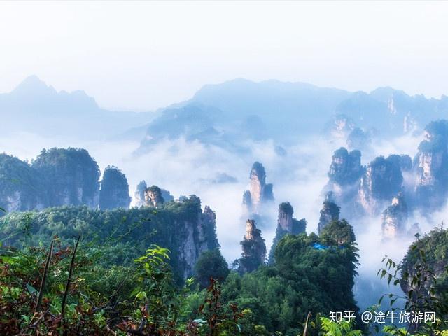 張家界景區內有奇峰三千,怪石無數,林木茂盛,自然風光美若仙境.除了