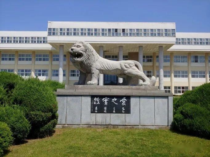 汉阳大学erica图片