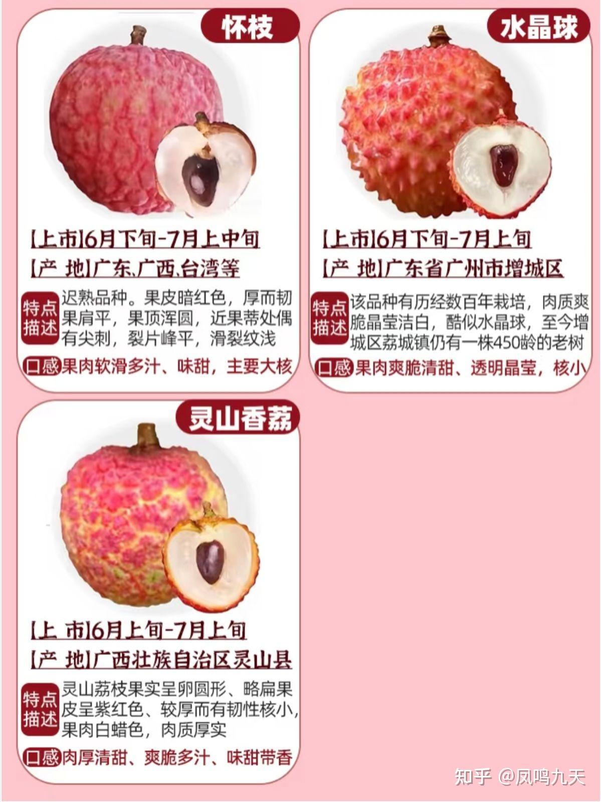 一分钟认识荔枝品种合集 - 知乎