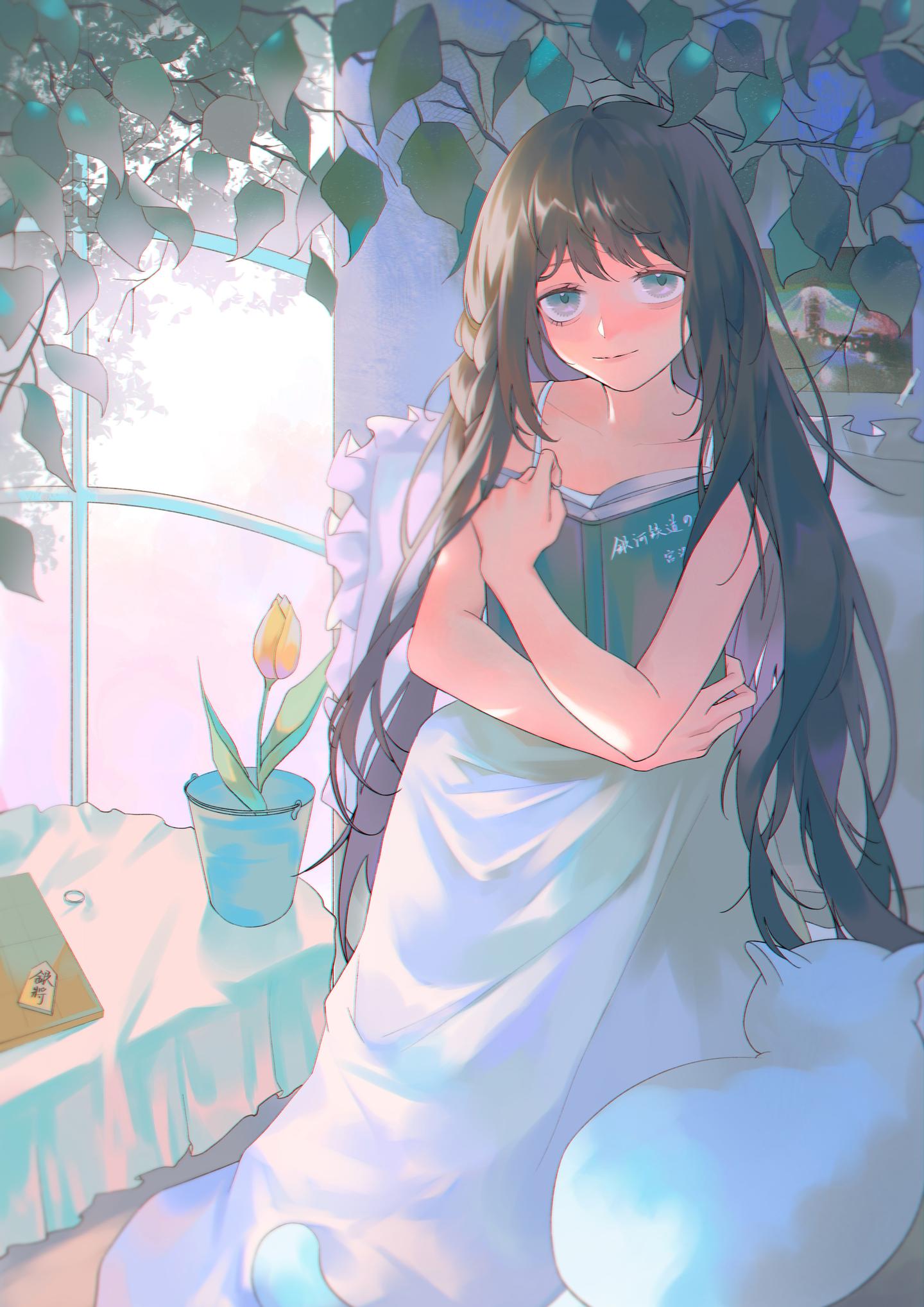 怀梦少女不会梦见五光十色的世界 上 知乎 怀梦少女不会梦见五光十色的世界 上 知乎