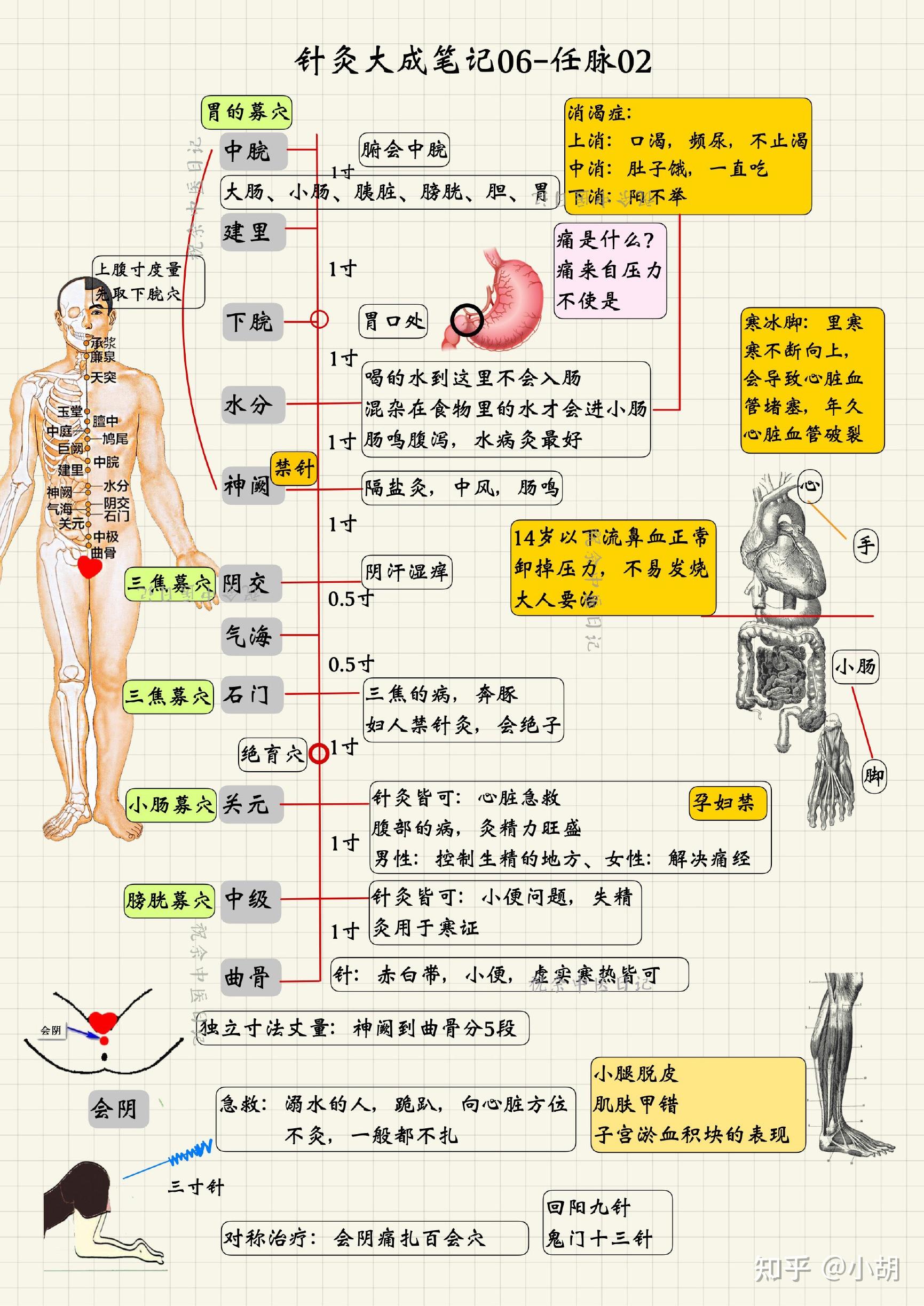 倪海厦针灸课笔记(4) 任脉之关元到巨阙和补泻手法 - 知乎