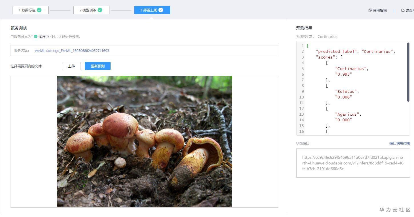 手把手教你使用ModelArts的自动学习识别毒蘑菇分类 手把手教你使用ModelArts的自动学习识别毒蘑菇分类
