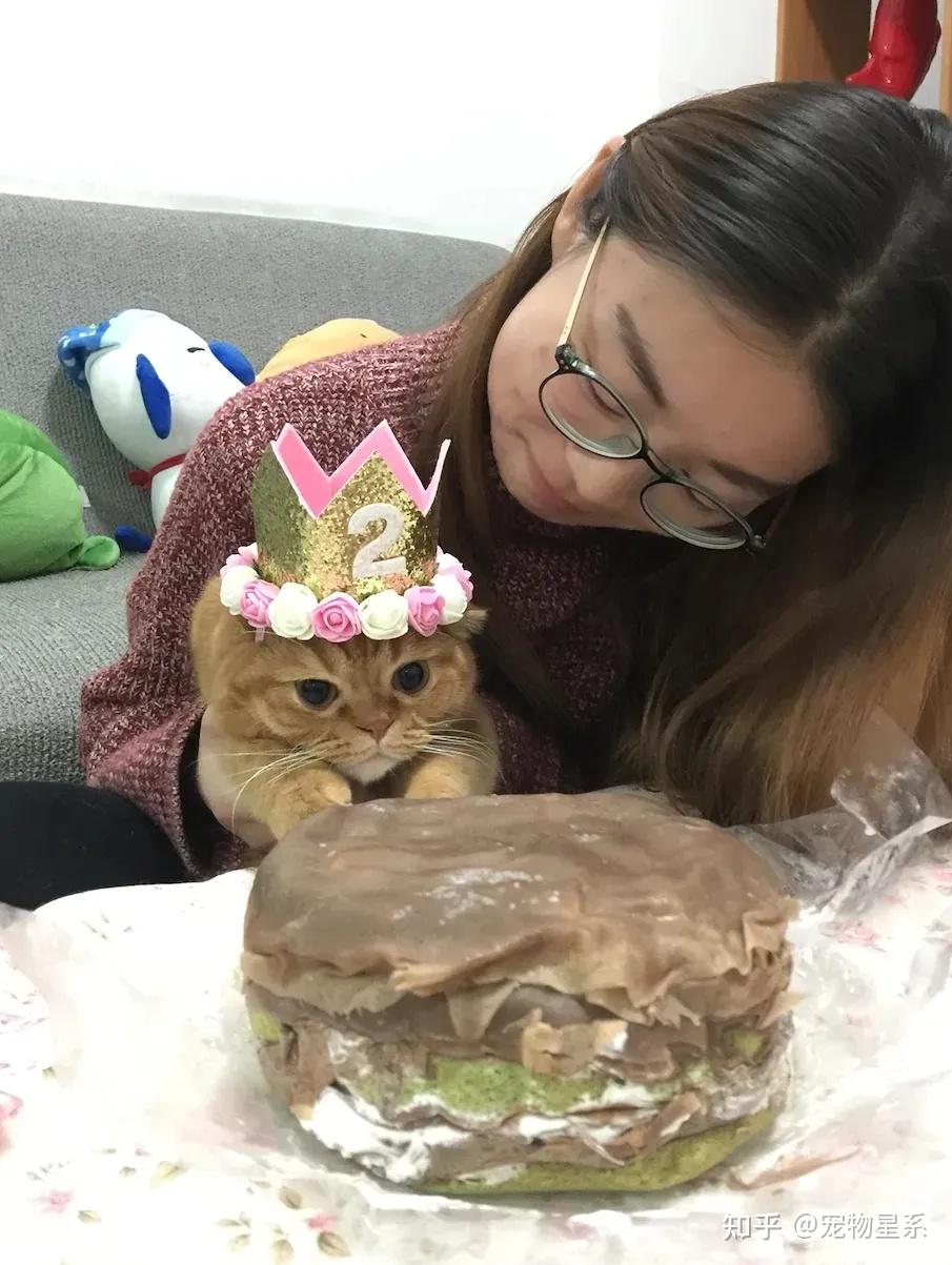 关于怎样自己为猫超度的信息