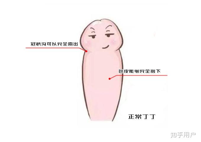 知乎
