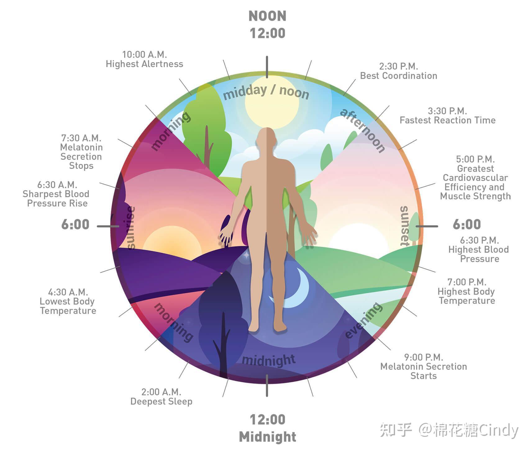 脸上细纹很多怎么办怎么淡化