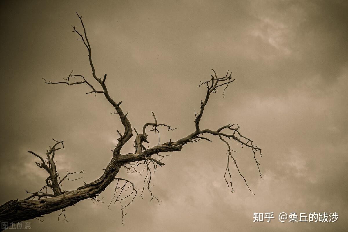 绵里藏针——马尔克斯的英雄主义