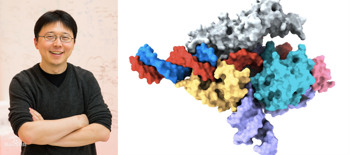 短评：张锋最新Nature，用AlphaFoldDB挖掘核酸内切酶 - 知乎