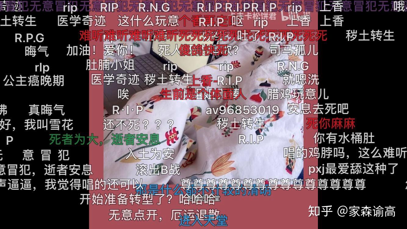 如何评价b站up主卡夫卡松饼君