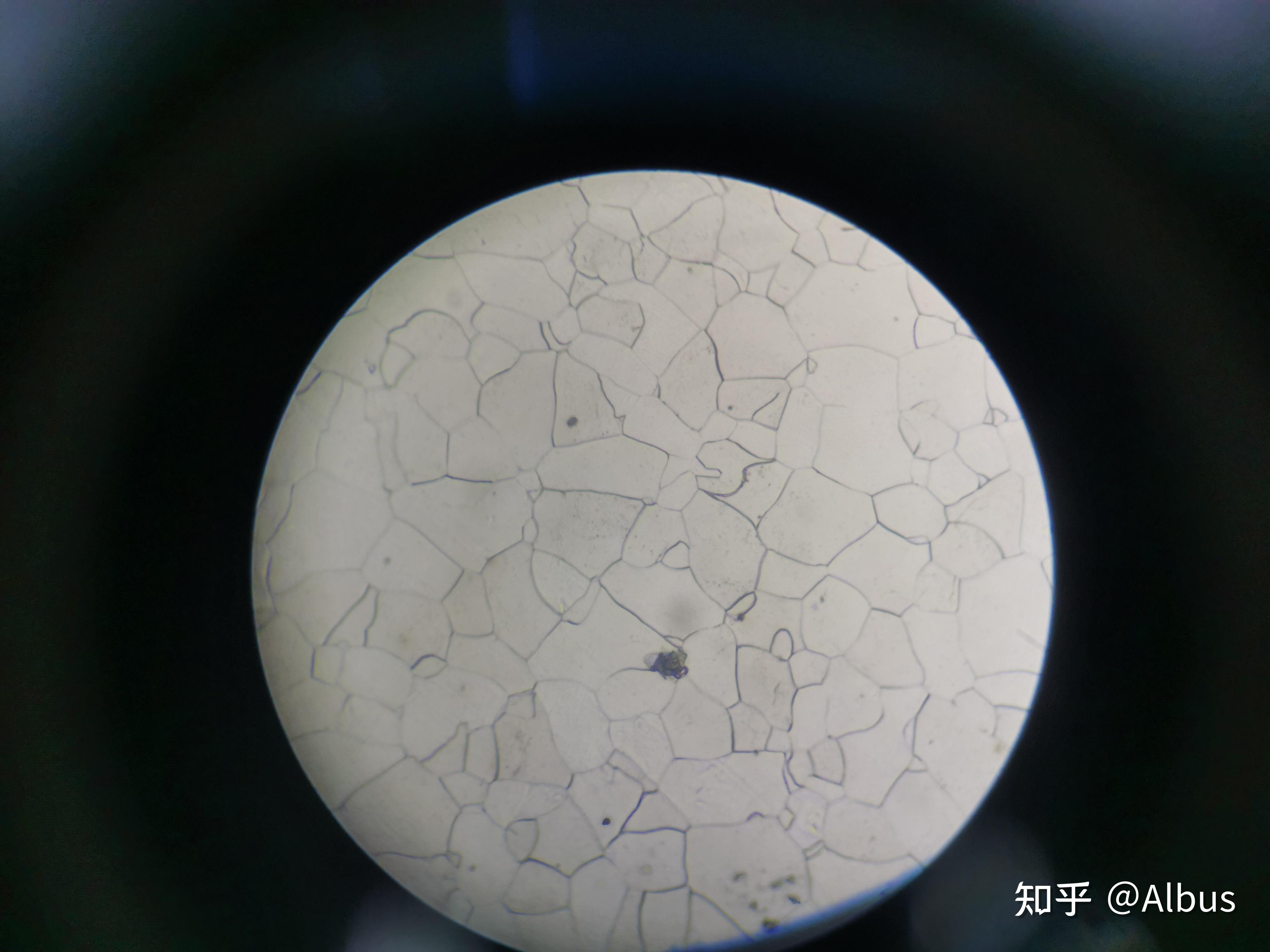 金相纯铁试样抛光后表面有坑怎么解决? - 知乎