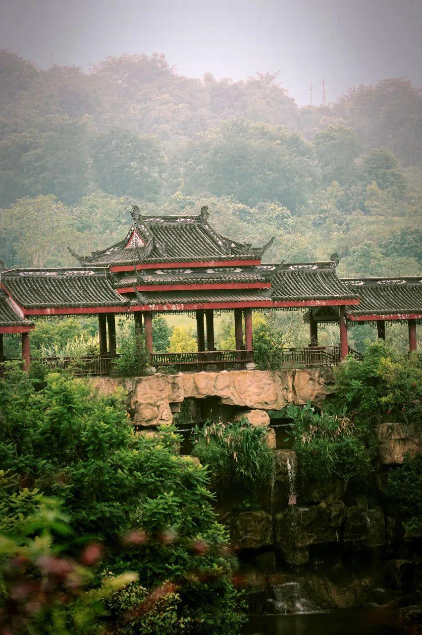 不是乌镇西塘!它才是最美的江南水乡,鲁迅都偏爱,还是国内最上头的城市