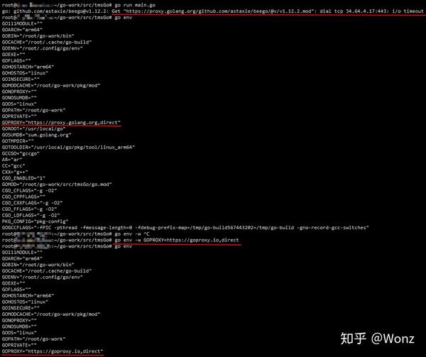 goproxy-timeout