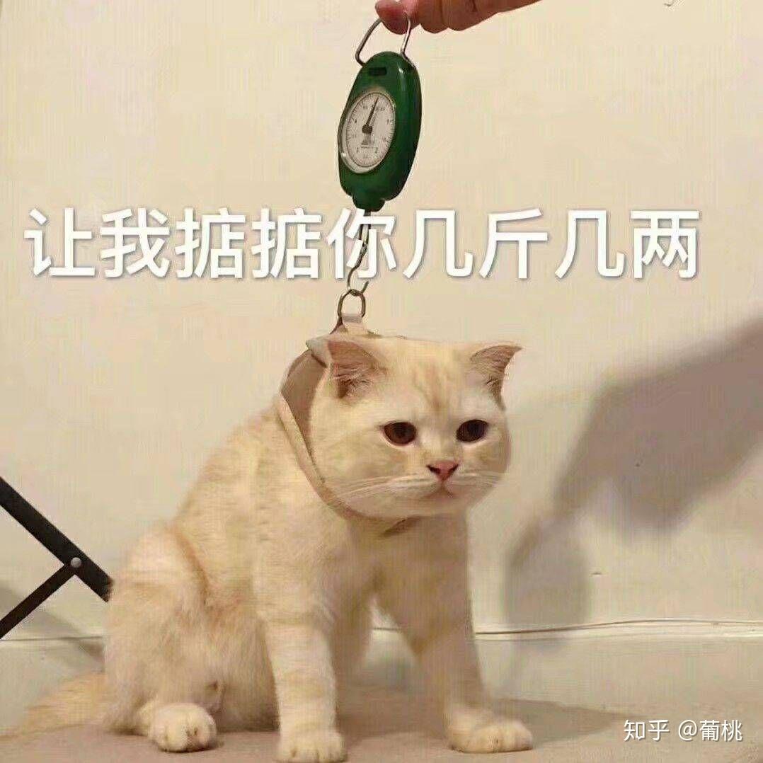 v2-b853cf90fc6c15abddd95414050818bc_r.jpg