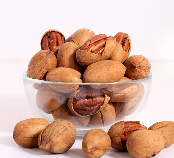 松鼠坚果推荐 v2-b85cd8f4e49d49b669f942a55910371c_b.jpg