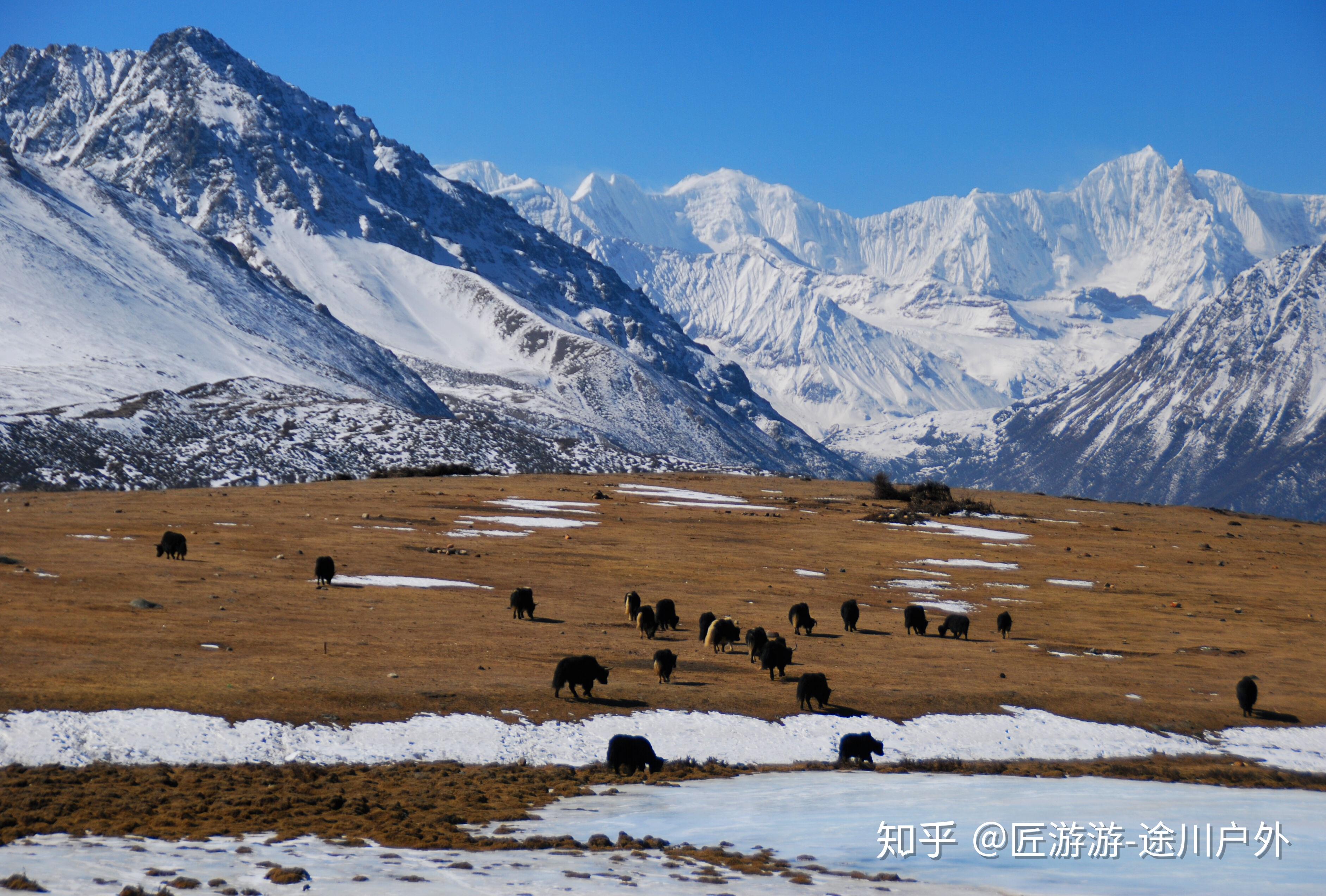 走进中印边境地区的察隅县,这里十里不同季,拥有别样的西藏景色 - 知乎