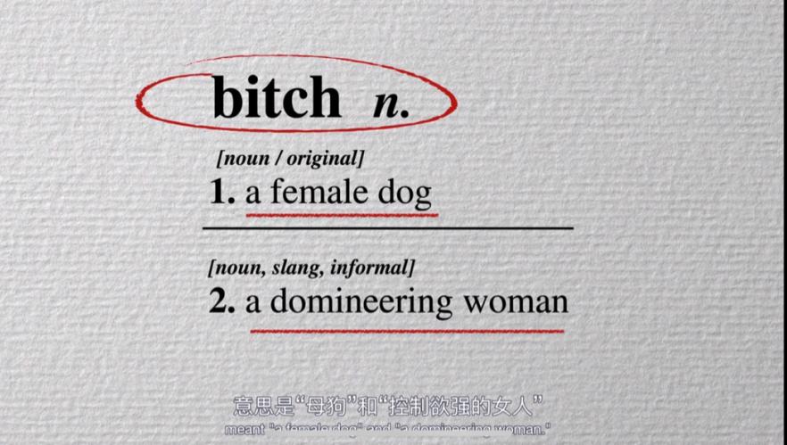 从骂人的脏话到女性主义赋权工具bitch洗白史