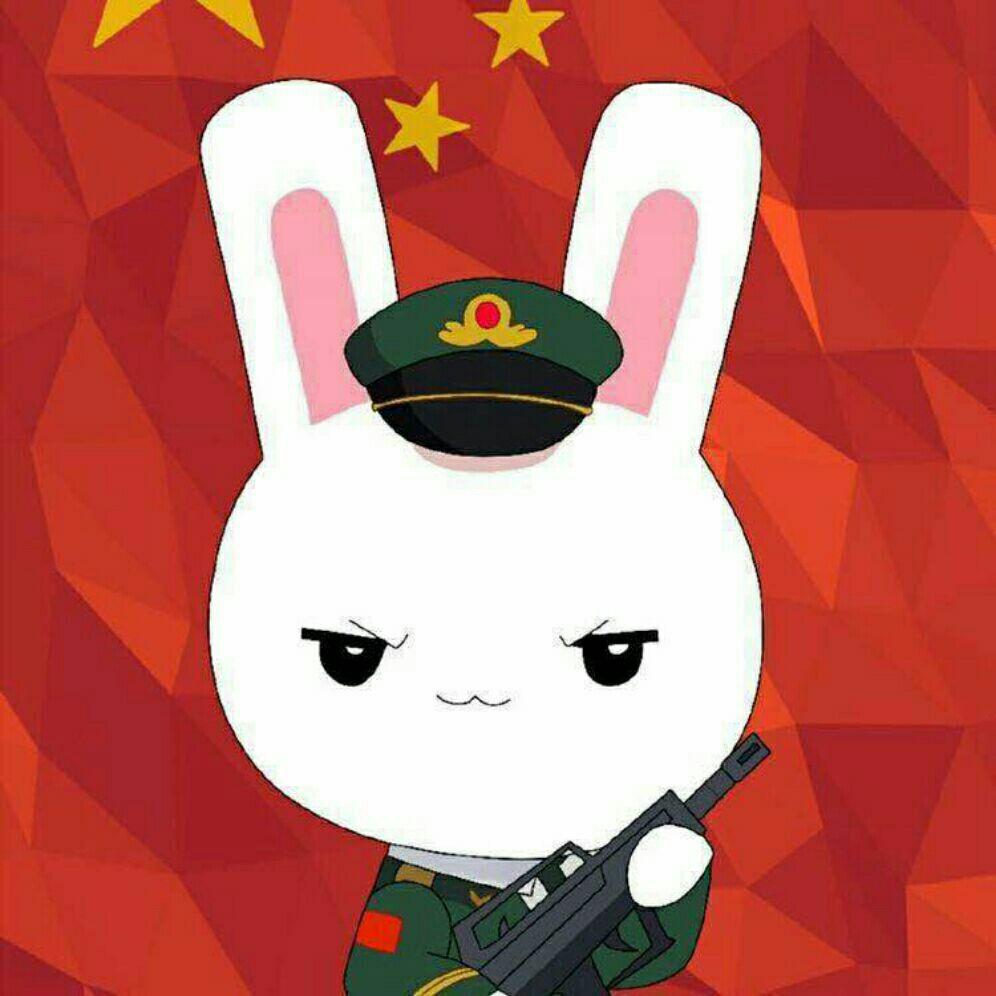 为什么有些人看那年那兔那些事儿会哭是在哪些方面有所触动