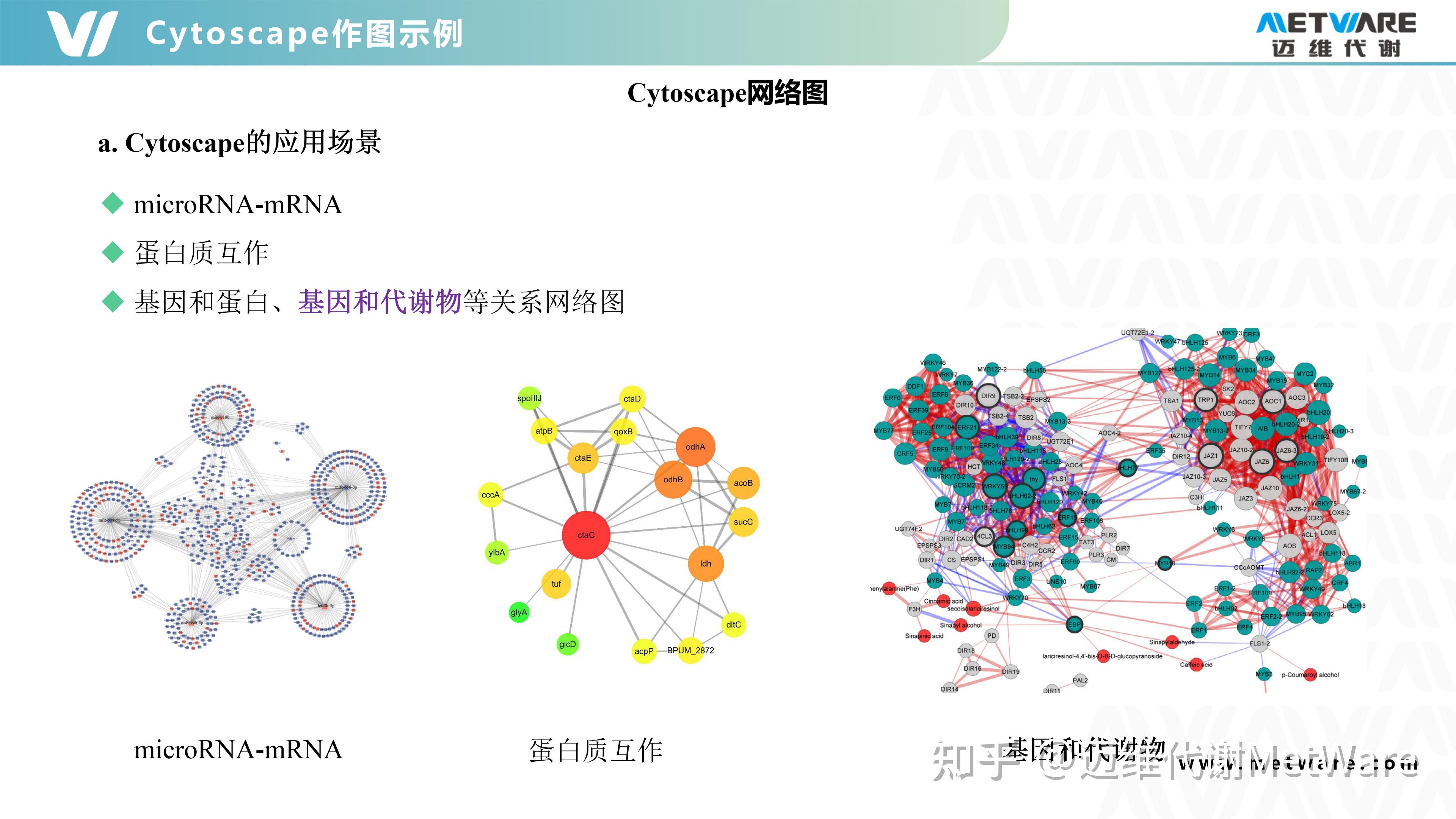 转录组 代谢组专题（十） Cytocape绘图操作 知乎