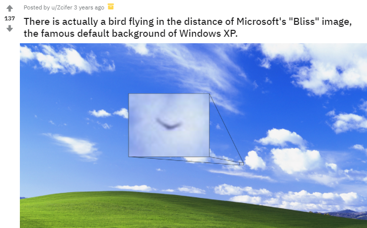 那张Windows XP默认壁纸,直到今天都还有新故事发生 - 知乎