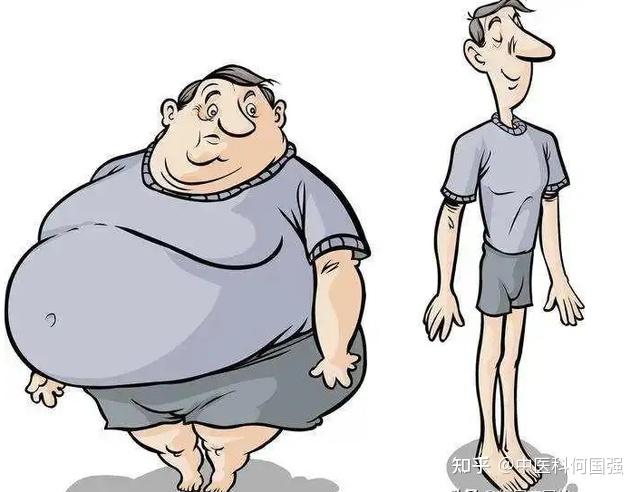 太胖太瘦是极端,它出问题毁所有,四招帮你找回健康 - 知乎