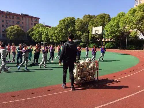 在2010年之后,不知怎么搞的,蔷薇小学忽然变成了闵行区教育局重点关注