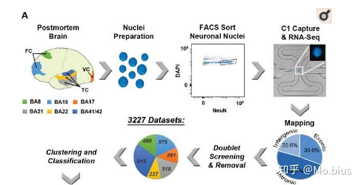 dramatic remodeling of cellular composition in uc: secretory