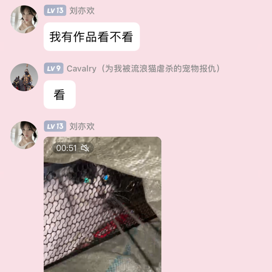 40w粉网红虐猫狂被拘留:那只猫到死也没叫一声! - 知乎