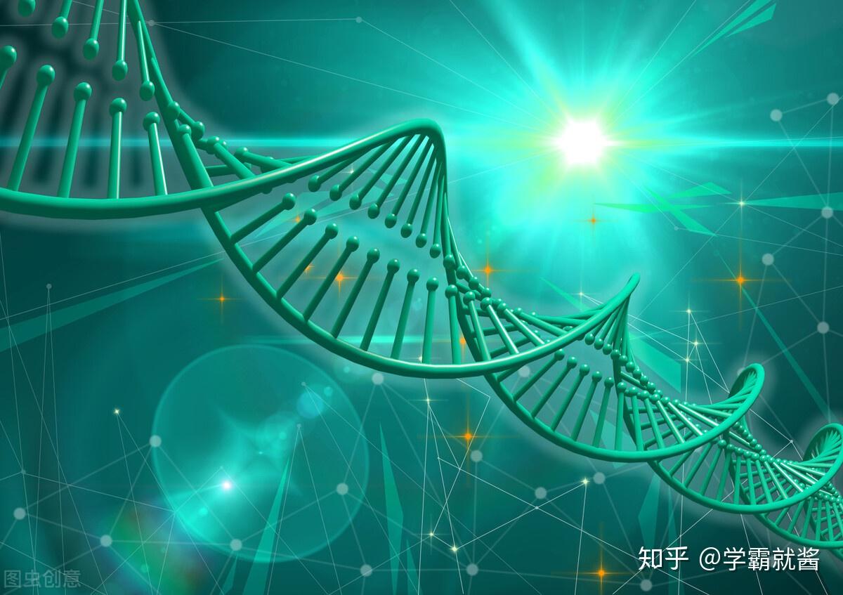 第一章 遗传因子的发现1.